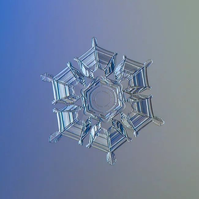 历时8年用微距镜头拍摄的雪花,超级微距拍摄雪花