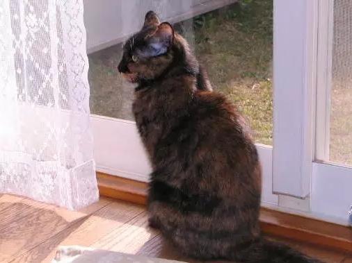 手机怎么检测针孔摄像头,怎么检测针孔摄像头