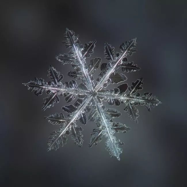 历时8年用微距镜头拍摄的雪花,超级微距拍摄雪花