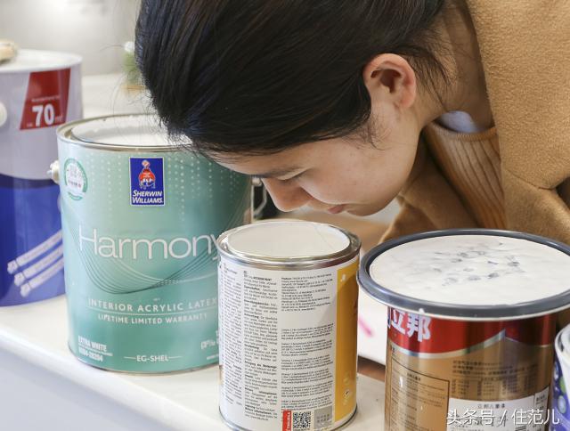 得多想不开才会去买进口乳胶漆？