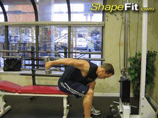 中年人健身房一周训练计划,健身房一周训练计划app