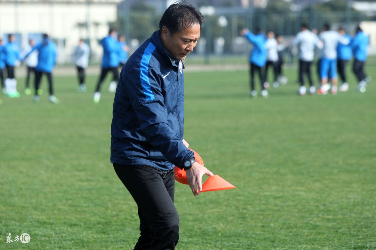 中国足球本土教练最好是谁,国产十大足球教练