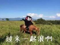 cosme大赏2020精华美白,2018cosme大赏下半年