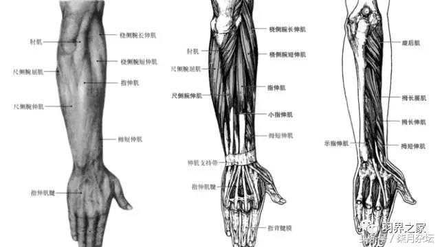 羽毛球单打课堂,羽毛球前臂内外旋发力练习跟练版