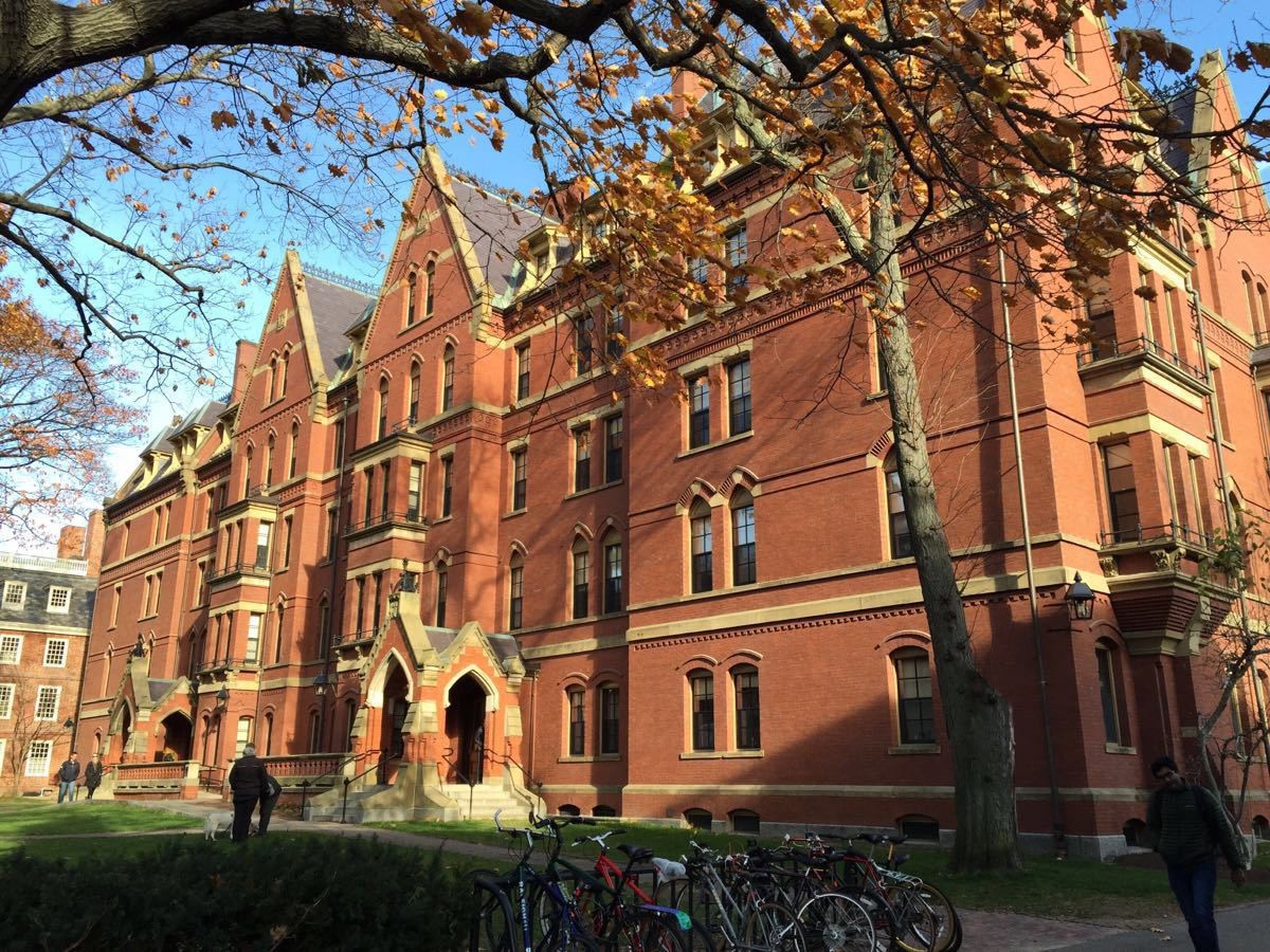 哈佛大学里到底有没有凌晨4点还灯火通明的图书馆？