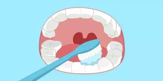 蛀牙是不是虫子钻的,蛀牙是真的因为有虫子吗