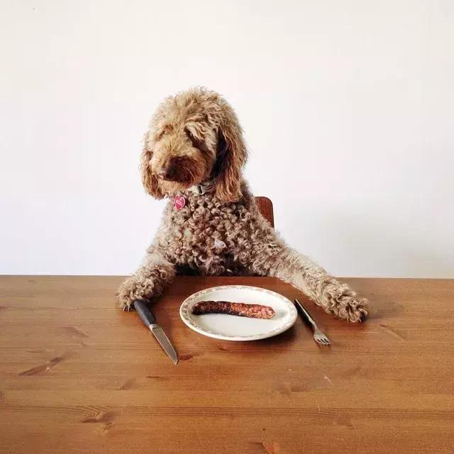 华裔马格南摄影师,马格南最年轻的摄影师