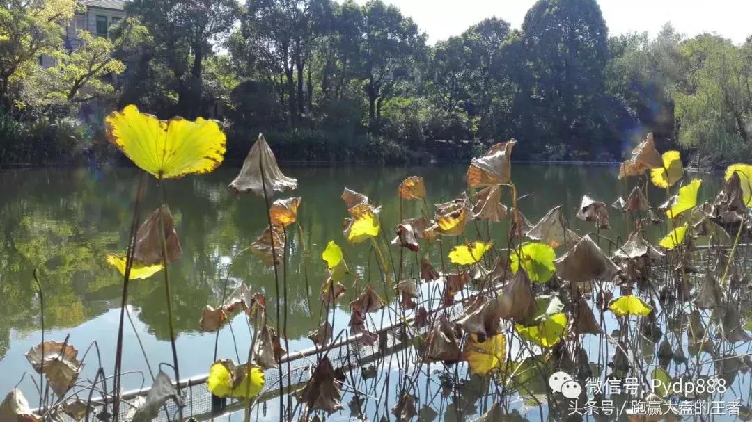 「斗K」理念把握遍地黄金，中国股市戏剧性场面何时出现？