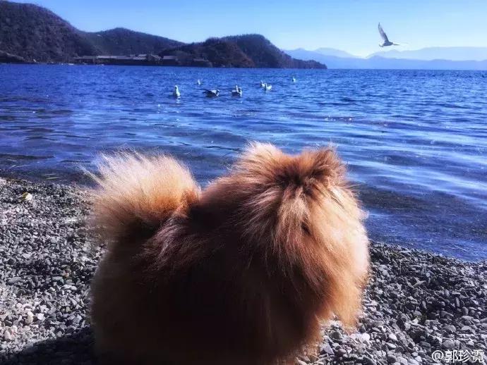 陷“三级片”风波、当过雅妓的“横店女王”为何不火？