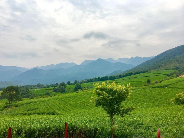 福建旅游界的一股清流，你是“佛系旅游”者吗？