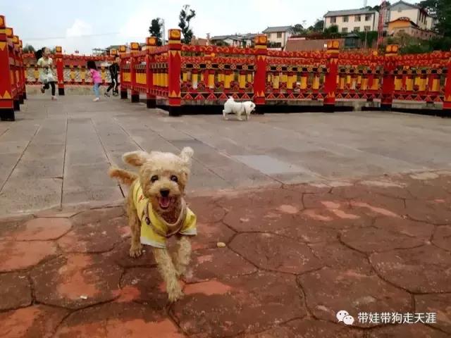 带孩子丽江自驾游,宝妈开着车带熊孩子兜风文案