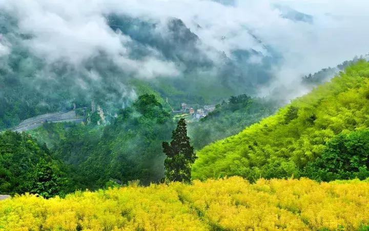 浙江适合旅居的地方,浙江宜居之地
