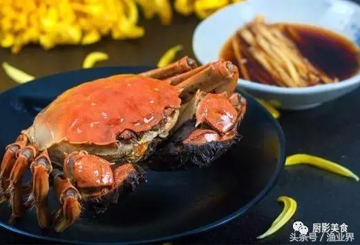 中国的螃蟹,螃蟹大赏的图片