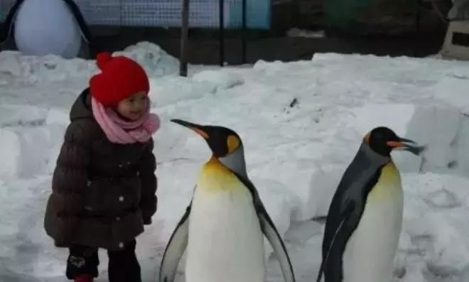 年底好消息来袭！大北京这些东西统统免费！还有精彩的活动等着你，不知道就亏大了！