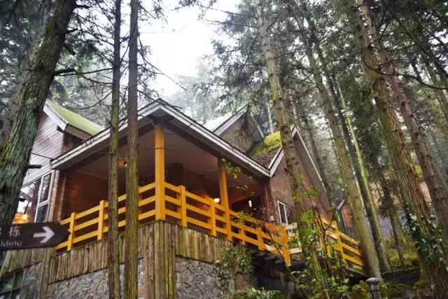 徒步四小时上山看雾凇,这个元旦去哪看雪