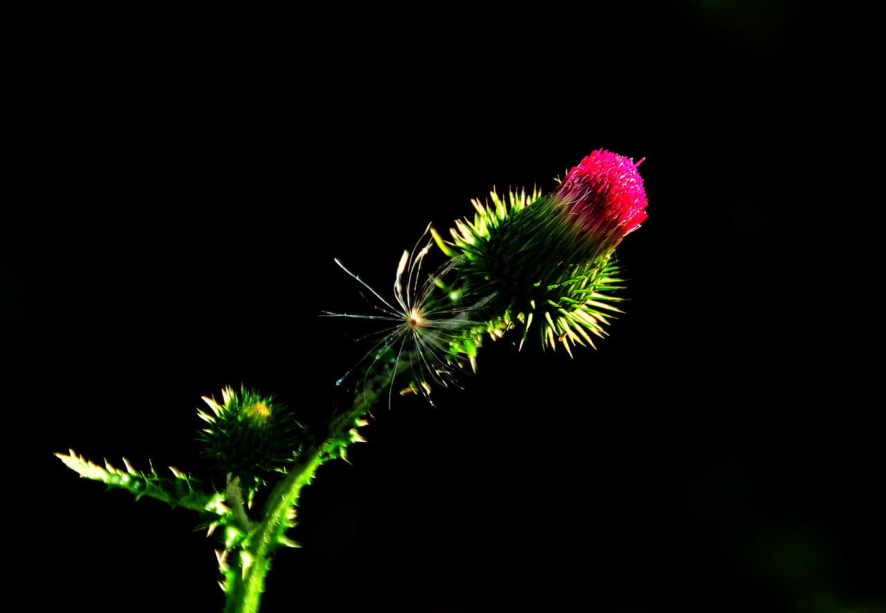 佳能测光模式图标什么意思,佳能相机四种测光模式详解