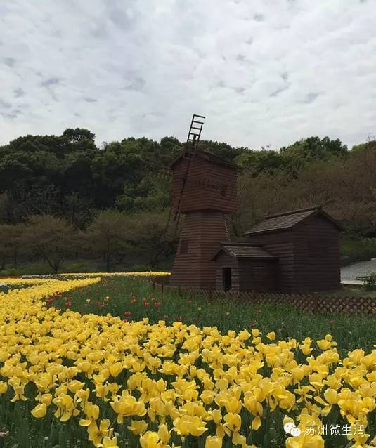 快看！苏州要在全球出名了！竟然与纽约、伦敦、东京、巴黎同上一个榜单...