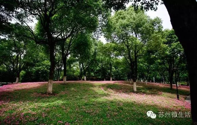 快看！苏州要在全球出名了！竟然与纽约、伦敦、东京、巴黎同上一个榜单...