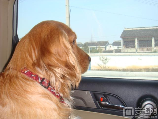 推荐好玩的在世界穿梭游戏,好玩的游戏推荐画风超美的休闲的