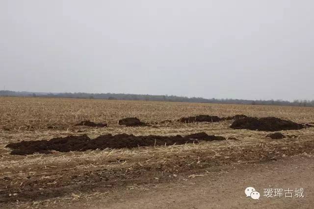 揭秘奶粉市场,黑河探店揭秘