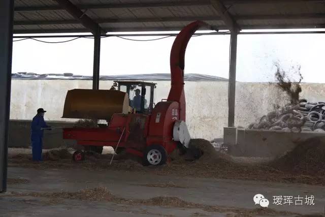 揭秘奶粉市场,黑河探店揭秘