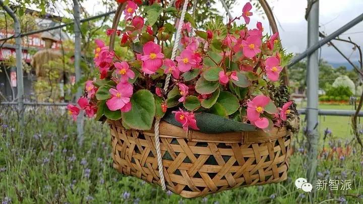 HTC10详细使用体验评测，真的能让HTC咸鱼翻身吗