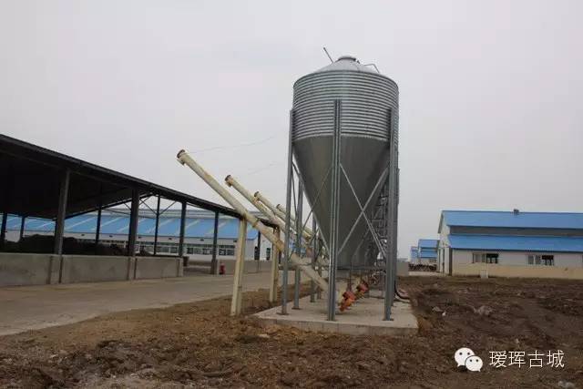 揭秘奶粉市场,黑河探店揭秘