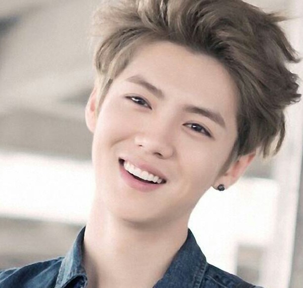 鹿晗爆红之路可以复制吗,鹿晗十大新闻