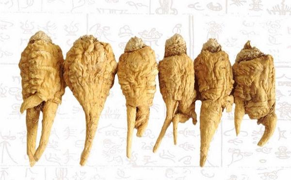 怎么分辨真假云南干玛卡,怎样辨别玛卡好不好