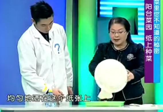 纸上种菜可以种向日葵吗,种菜小窍门两张纸就搞定