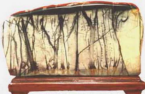 这才是真正的奇石,真正的奇石都是什么样子的