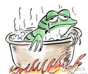 传统企业为什么做不好电商,渔具电商行业的现状和前景