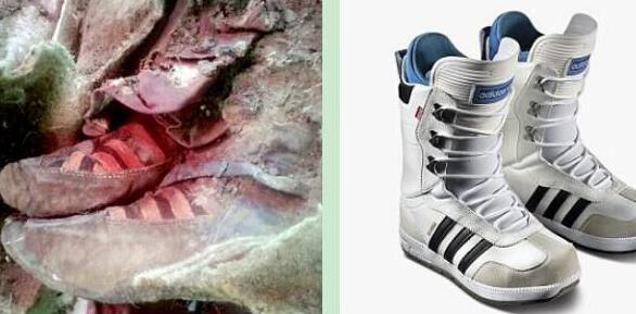 千年木乃伊之谜视频,怎样分辨木乃伊这款鞋的真假