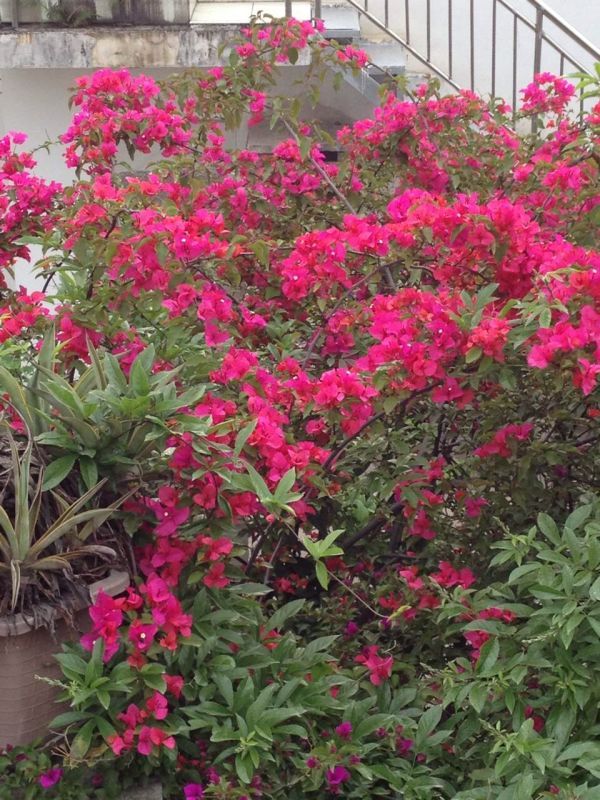 她，用旅行，战胜了癌症。