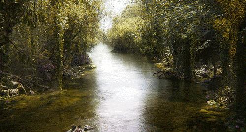 太赞了！一位10岁的小男孩撑起了整部奇幻森林！