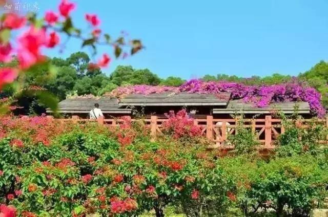 五一出行100分推荐，人少景美文艺到爆