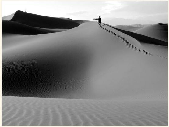 西行奇遇记完整视频,西行奇遇记