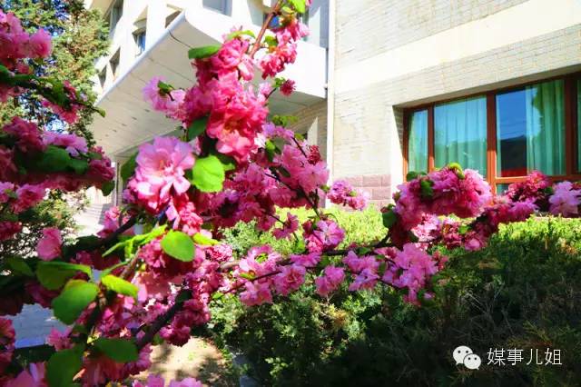 包钢三中真的要改名吗,包钢三中整体成绩怎么样