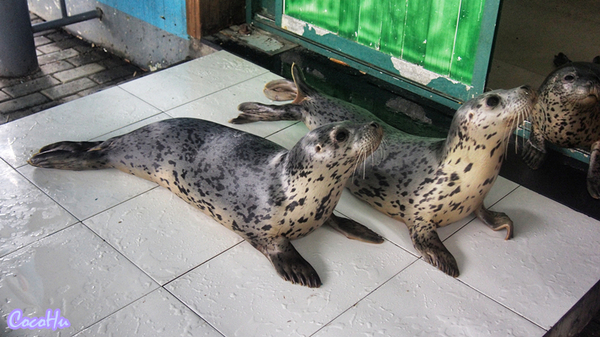 中南百草原景区动物园,中南百草原景区动物