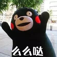 muji值得买的文具,muji值得买的实木家具