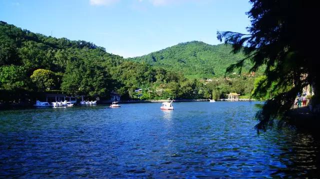 深圳最美的看海公园,深圳最美湖泊公园