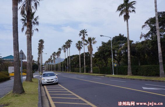 韩国济州岛旅游攻略之旅行前需要做哪些准备?