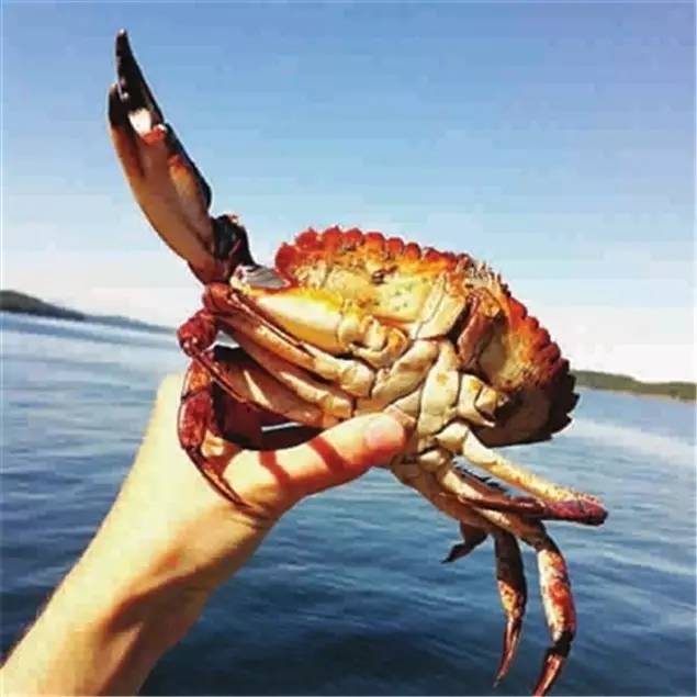 佛山附近比较坑的旅游小岛,佛山周边海岛游推荐小众