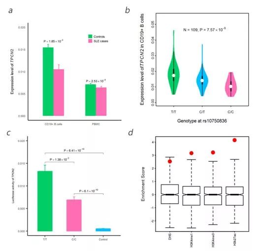 中国系统性红斑狼疮研究协作组,2024系统性红斑狼疮最新研究