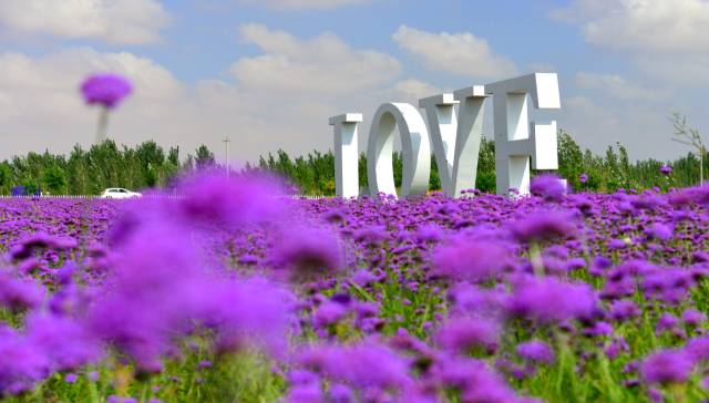 「焦点」中卫这个地方的蓝天碧水美出了新高度，比这更美的还有……