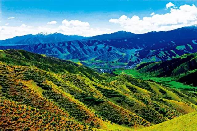 瀹佸绗竴缇庡コ鐓х墖,涓浗瀹佸绗竴缇庝汉