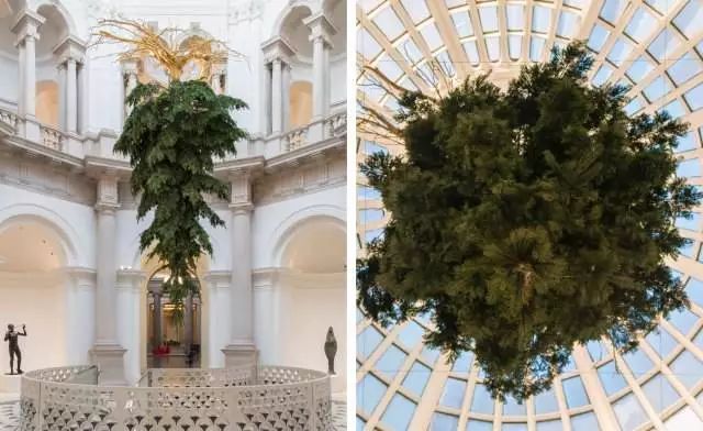 纽约大都会博物馆圣诞树,世界上最大的圣诞树是什么样子