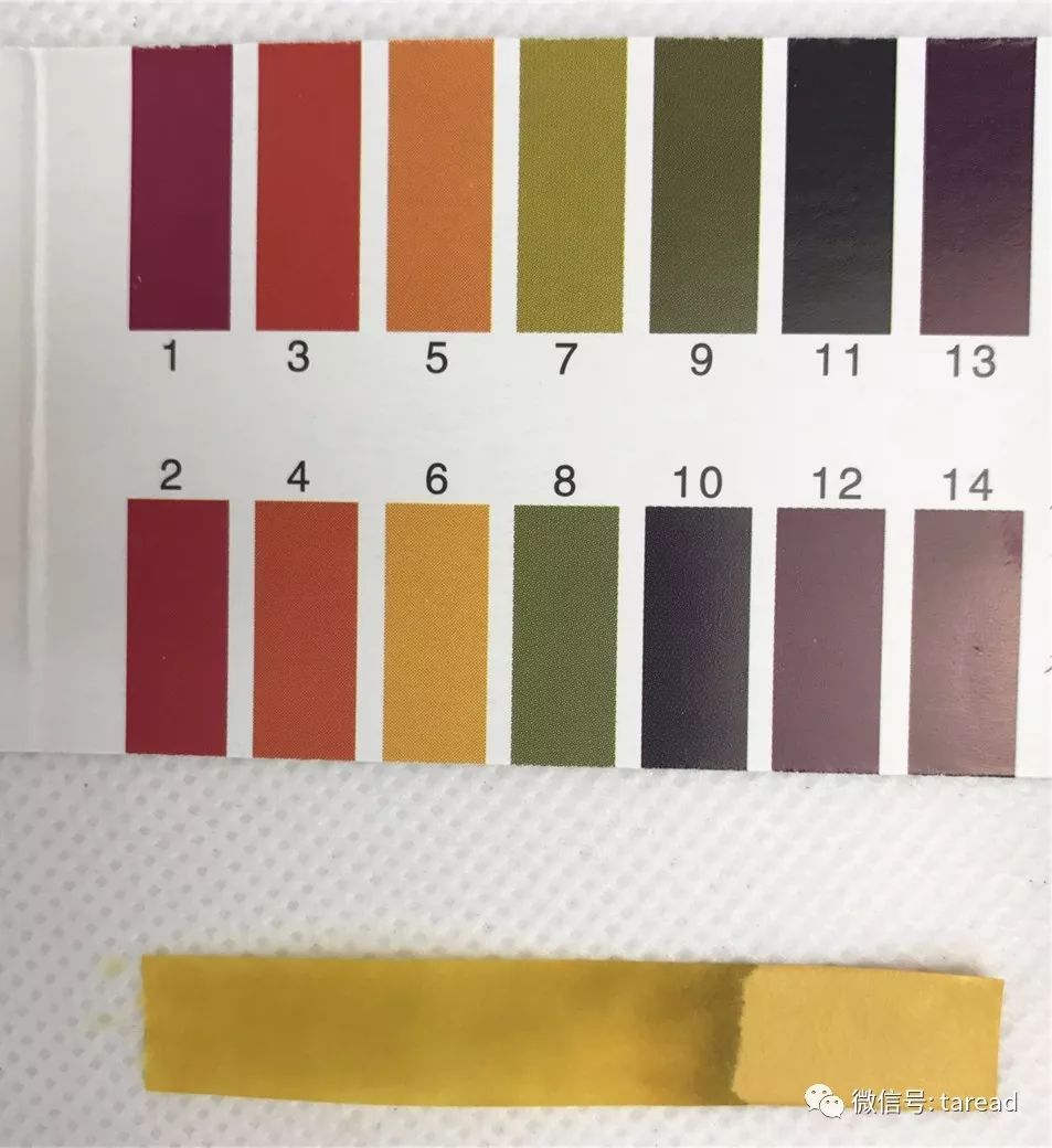 国货洁面乳排行榜第一名,国货洗面奶推荐真实测评