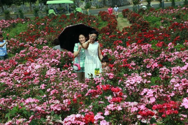 买一送一法国进口波尔多红酒,法国原瓶进口红酒多少钱