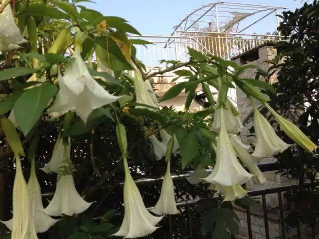 她，用旅行，战胜了癌症。